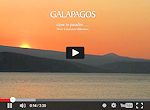 Galapagos Kreuzfahrt - Videos